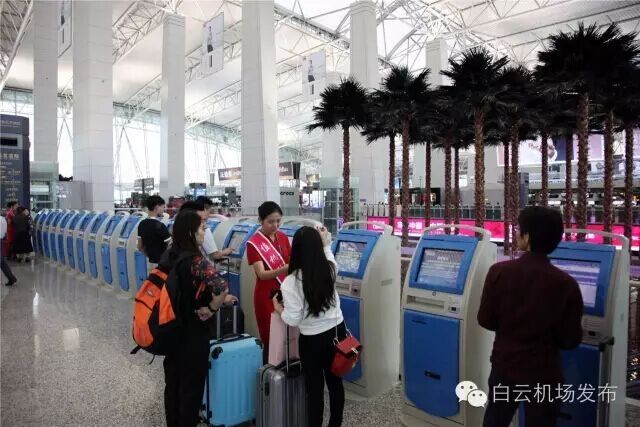 【特別策劃】美麗白云