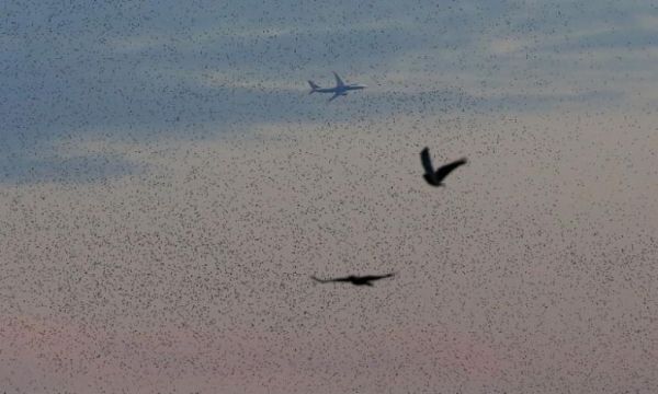 �Z������_���������س����s���C�¼�