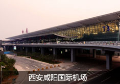 ������ꖇ��H�C��